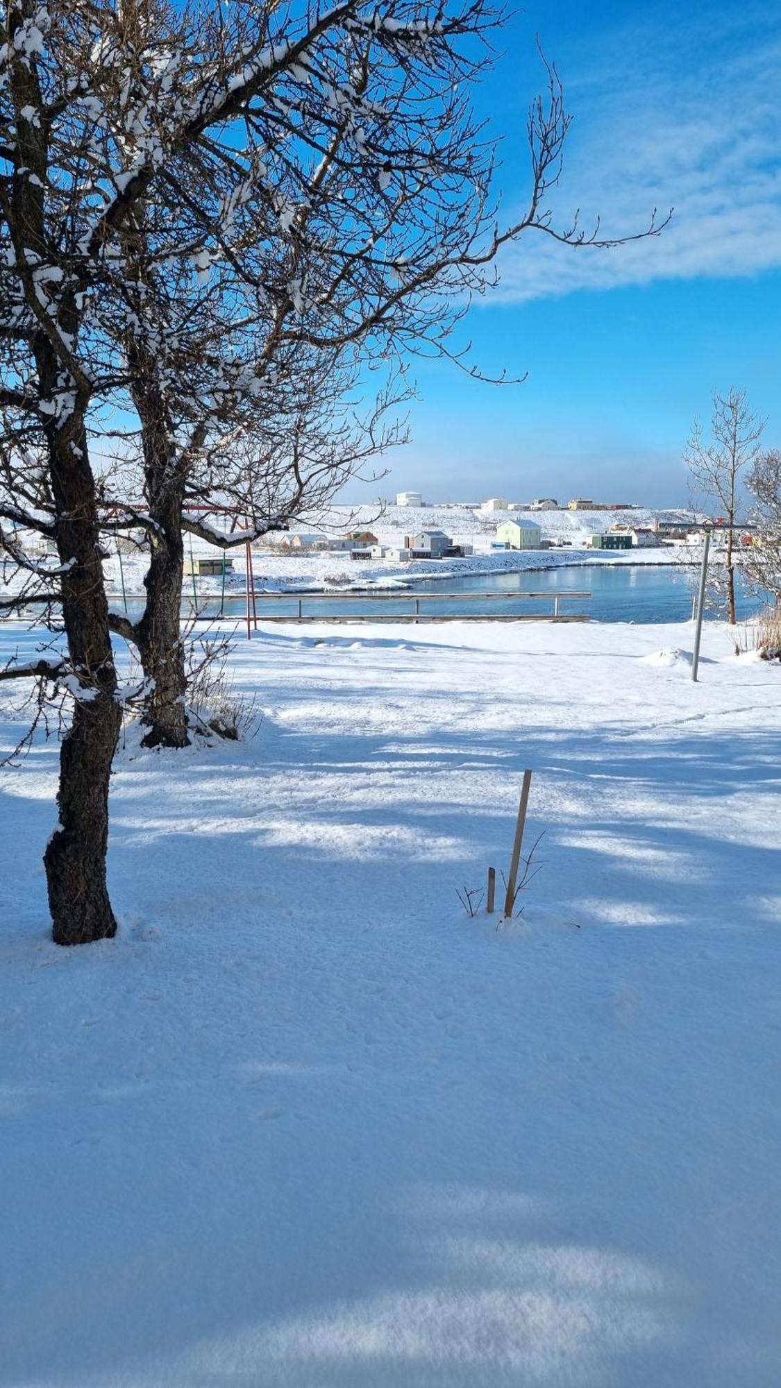 Fornilaekur Guesthouse ブリョンドゥオース エクステリア 写真