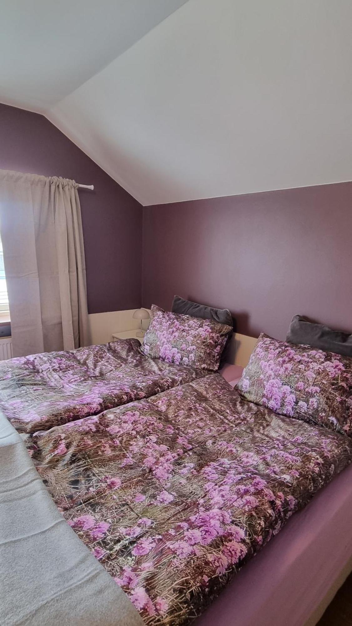 Fornilaekur Guesthouse ブリョンドゥオース エクステリア 写真