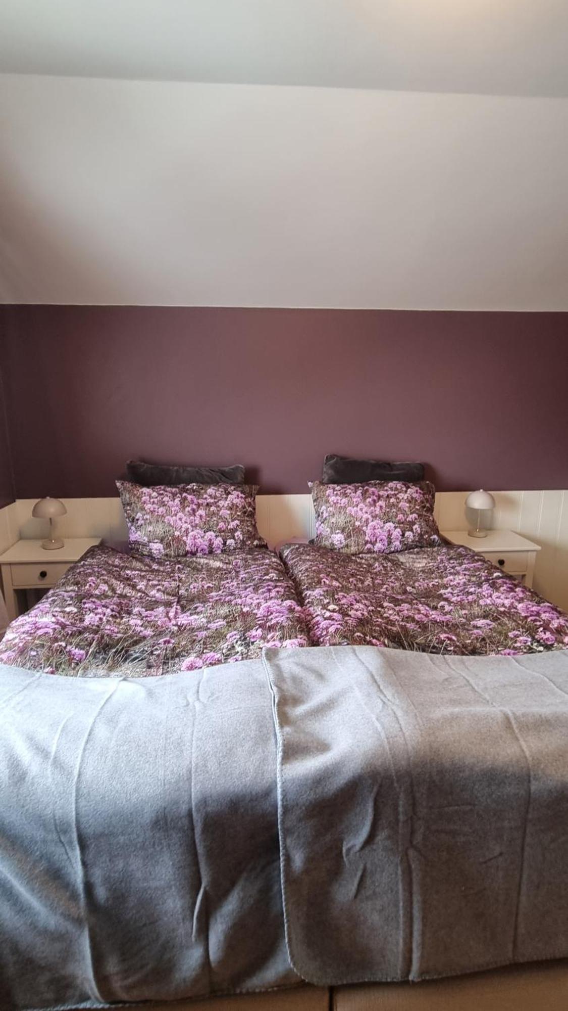 Fornilaekur Guesthouse ブリョンドゥオース エクステリア 写真