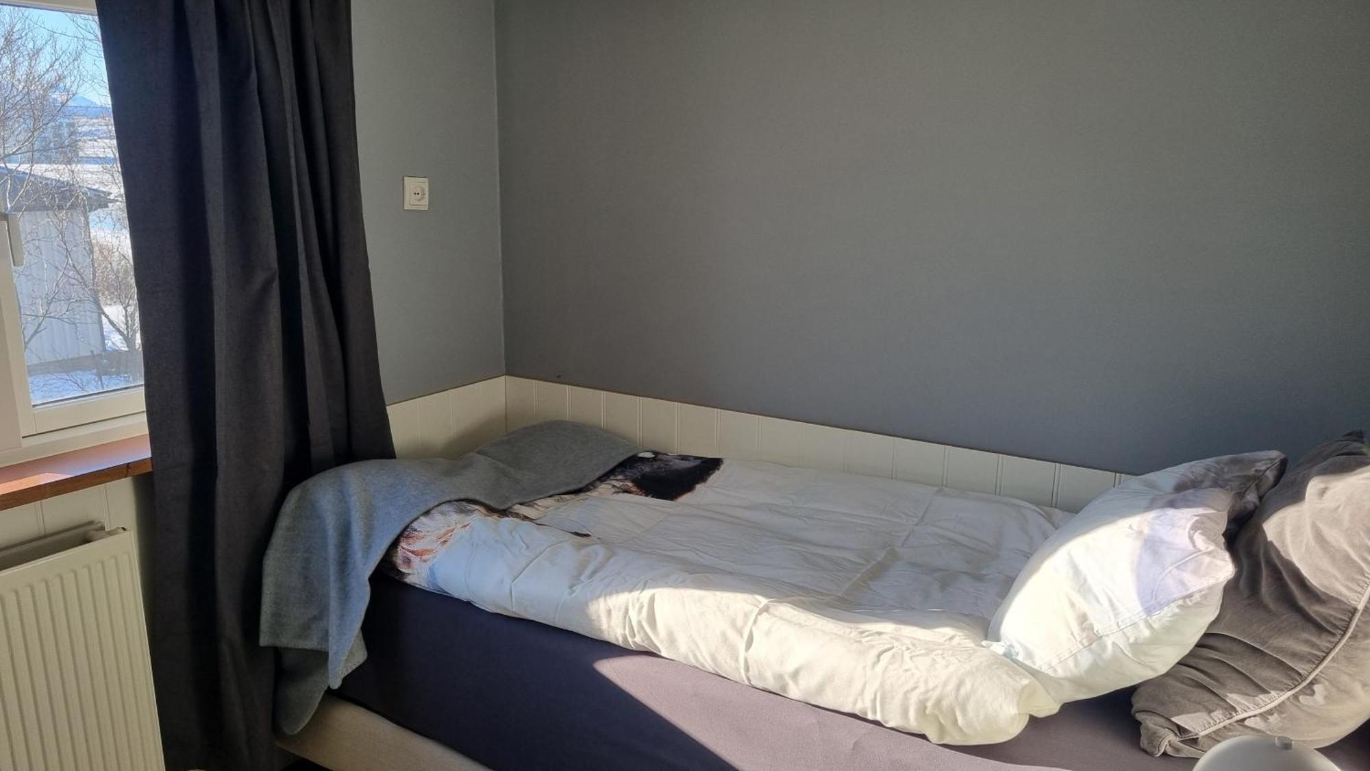 Fornilaekur Guesthouse ブリョンドゥオース エクステリア 写真